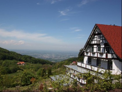 Photo: Gr&amp;uuml;ner Baum